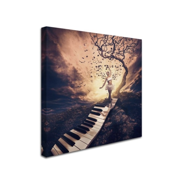 Jackson Carvalho 'Rhapsody' Canvas Art,35x35